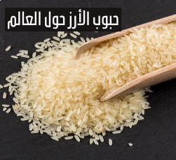 حبوب الأرز حول العالم